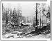 Garland's Mill,Placer County, California,CA,1859,lumber