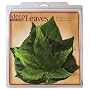 EuroQuest Imports Spring Deco Parchment Leaves, Package of 20