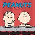 Peanuts: 2010 Mini Wall Calendar