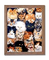 Cat Kittens Kitty Collage Kids Room Wall Picture Oak Framed Art Print