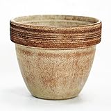 イタリア製テラコッタ鉢 ジオットポット コーヒースクラッチ 25cm ／植木鉢