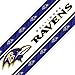 Baltimore Ravens Team Wall Border