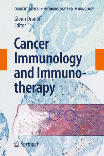 Cancer Immunology and Immunotherapy: 344 (Current Topics in Microbiology and Immunology)