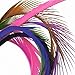 Premium Vibrant Colored Large Biot Goose Feathers - 40 to 50 Per Package - 7