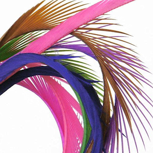 Premium Vibrant Colored Large Biot Goose Feathers - 40 to 50 Per Package - 7