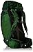 Osprey Packs Kestrel 38 Backpack, Jungle Green, Small/Medium