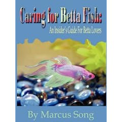 Caring For Betta Fish