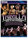 Bellydance Superstars: Tribal LA - Live in Los Angeles [DVD] [2008] [US Import]