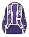 High Sierra Swerve Laptop Backpack, Deep Purple/Shibori/White, 19 x 13 x 7.75-Inch