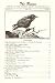 The Raven: Journal of the Virginia Society of Ornithology - Volume 45, Number 2, June 1974