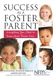 Success as a Foster Parent: Everything You Need to Know About Foster Care Success as a Foster Parent: Everything You Need to Know About Foster Care