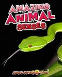 Amazing animal senses