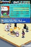 Bleach The 3rd Phantom (Nintendo-DS)