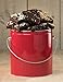 Brownie Overload- 1 gallon
