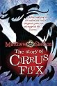 The Story of Cirrus Flux