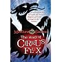 The Story of Cirrus Flux
