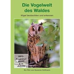 Die Vogelwelt des Waldes