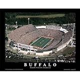 (22x28) Brad Geller Buffalo Bills Ralph Wilson Stadium Sports Poster Print