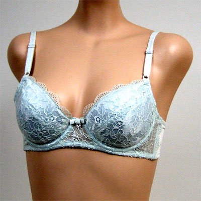 Art-Beau 2 Pack LITE BLUE FLORAL BRA #2358 sz 34A 36A 38A