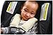 DorDor & GorGor Organic Baby Seat Belt Cushion, Extra Plush, 100% Cotton (Ivory)