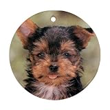 Yorkshire Terrier Yorkie Ornament (Round)