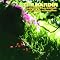 Music For A Rainy Day -It'll Never Happen Again-