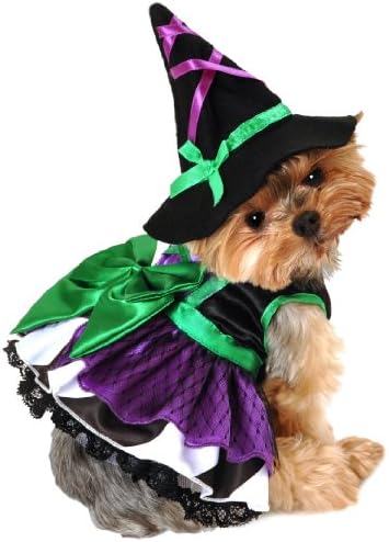 Anit Accessories 20-Inch Scary Witch Dog Costume, Large