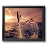 Dolphin Jumping At Sunset Fish Animal Wildife Landscape Picture Black Framed Art Print by 