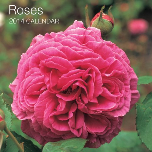 2014 Calendar: Roses: 12-Month Calendar Featuring Beautiful Photographs Of Delightful Country Garden Roses