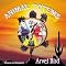 Wonderful Native American music