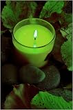 CUCUMBER MELON, 11 oz Tumbler