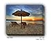 BETTER THAN TV - Gallery Wrapped, Stretched Canvas Photograph Image
