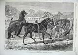 1870 Thoroughbred Horses Yearling Sale Eltham Fine Art
