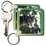 Florida Green Eyed Panther - Set Of 2 Key Chains