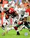 Edgerrin James Arizona Cardinals Rushing 8x10 Photo