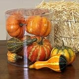 Pumpkin and Gourd Box 7ct