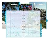 Day-Timer Coastlines 2-Page-Per-Month Calendar Refill, Monthly Tabs, Desk Size, 5.5 x 8.5 Inches, January - December, 2013 (D13300-1301)