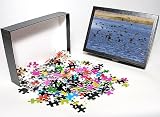 Photo Jigsaw Puzzle of Red-winged Blackbirds - flock in flight over lake, at Sacramento National from Ardea Wildlife Pets