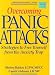 Overcoming Panic Attacks: Strategies to Free Yourself from the Anxiety Trap (Program for Recovery)