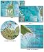 All Products : Frankos Maps Map of San Diego County Coast Scuba Dive Diving Snorkeling San Diego Travel