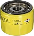 Briggs & Stratton 696854 Oil Filter Replacement for Models 79589, 92134GS, 92134 and 695396
