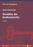Grundriss des Insolvenzrechts (Start ins Rechtsgebiet)