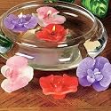 Floating Candles Orchids Asst. 12 pc