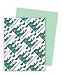 Wausau Exact Premium Heavy Duty Paper, 24 lb, 8.5 x 11 Inches, Pastel Green, 500 Sheets (62341)