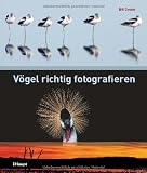 V�gel richtig fotografieren
