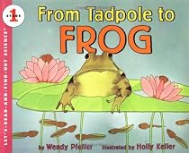 From Tadpole To Frog