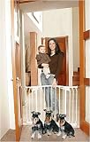Bindaboo HALLWAY SECURITY Metal Gate 29.5H BLACK B1104