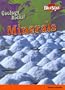 Minerals (Geology Rocks!)