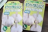 【秋植え球根】種 ニンニク：ホワイト六片青森産ニンニク5球入り 2袋セット【送料無料】