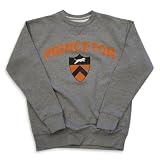 Princeton Tigers Slate '47 Brand Vintage College Crewneck Sweatshirt